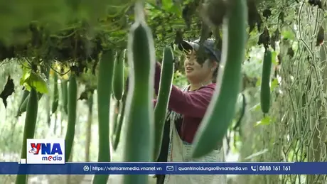 Liên kết sản xuất, nâng giá trị nông sản