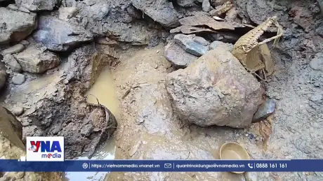 Giấc mộng vàng và nước mắt rừng phòng hộ Yên Na- Nghệ An