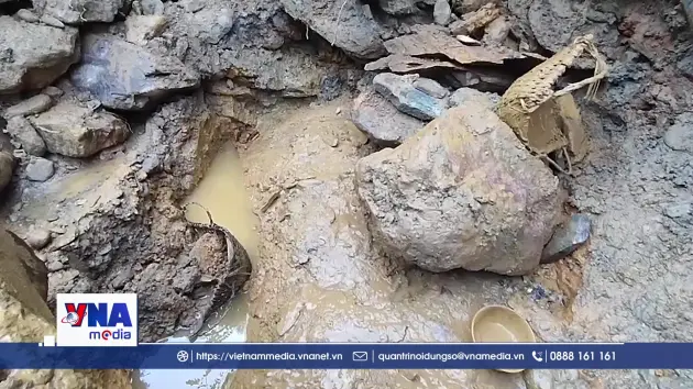 Giấc mộng vàng và nước mắt rừng phòng hộ Yên Na- Nghệ An
