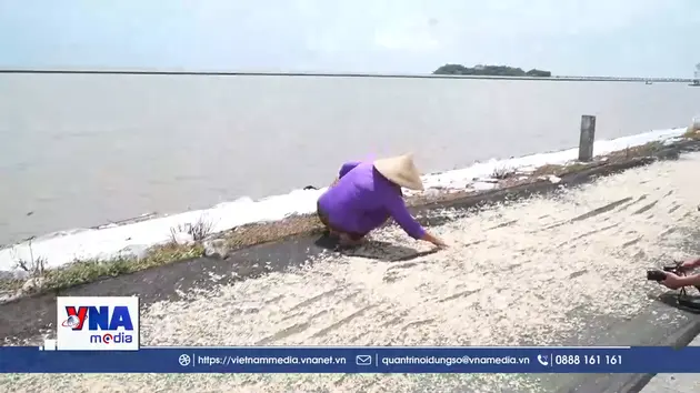 Ngư dân biển Tây nhộn nhịp bước vào mùa khai thác ruốc
