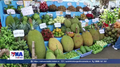 Tôn vinh và quảng bá nông sản bản địa qua Ngày hội sông nước miệt vườn