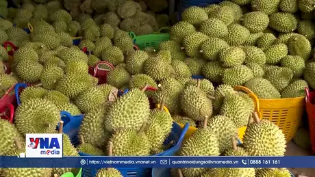 Sôi động 