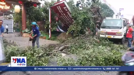 Dông lốc làm đổ ngã nhiều cây xanh và sập nhà ở Đồng Tháp