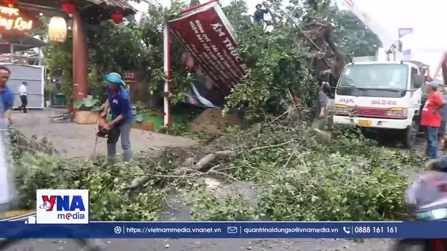 Dông lốc làm đổ ngã nhiều cây xanh và sập nhà ở Đồng Tháp