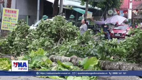 Đồng Tháp khẩn trương khắc phục thiệt hại do mưa giông, lốc xoáy