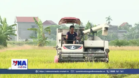 Hải Phòng đi đầu triển khai lúa phát thải thấp tại Đồng bằng Sông Hồng