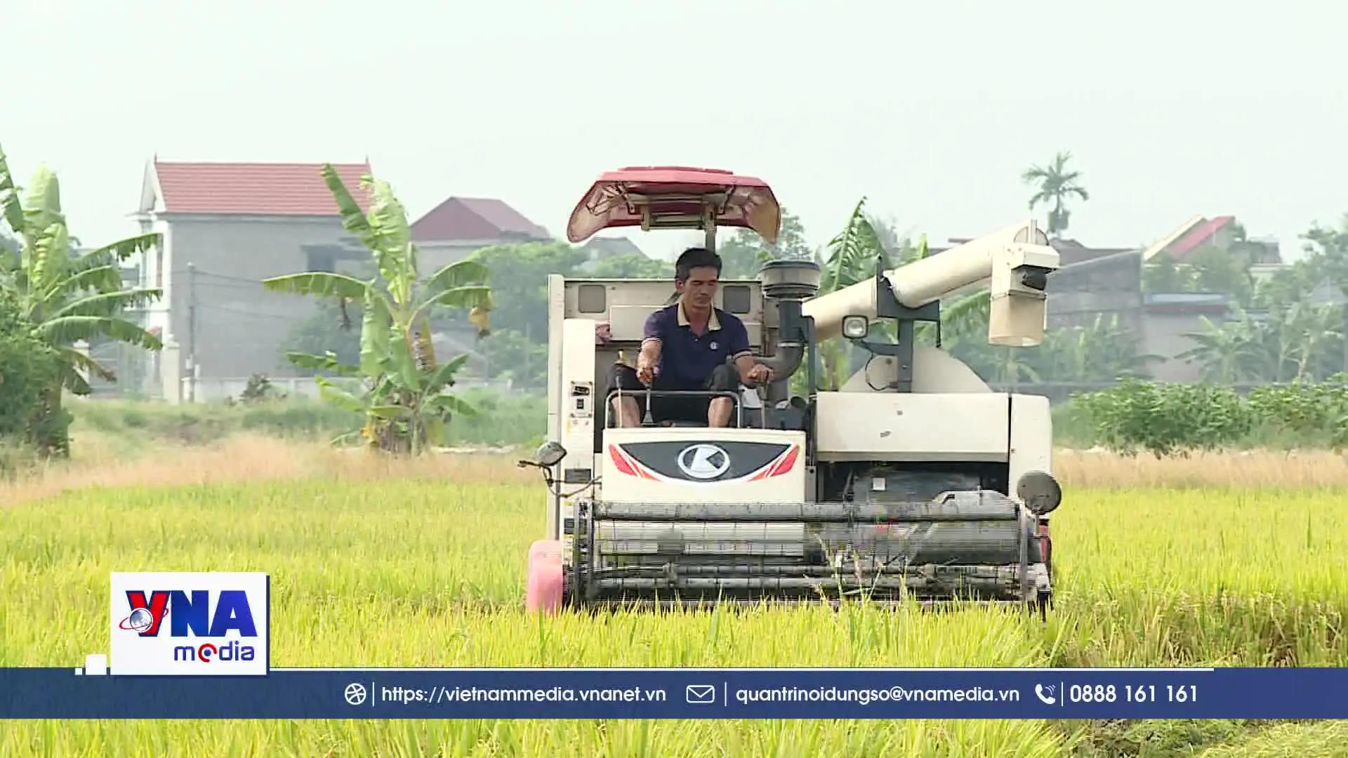 Hải Phòng đi đầu triển khai lúa phát thải thấp tại Đồng bằng Sông Hồng