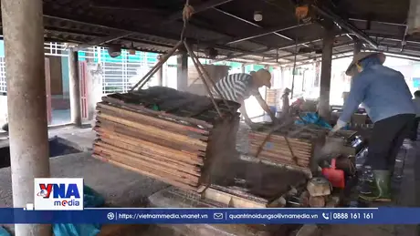Quảng Trị: Nhọc nhằn mưu sinh nghề cá nục hấp ở Cửa Việt