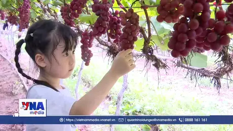 Đổi mới tư duy sản xuất thích ứng với biến đổi khí hậu