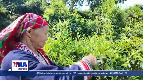 Tân Quang đồng thuận sắp xếp thôn theo mô hình mới