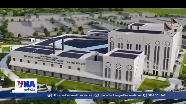 Đầu tư nhà máy chế biến sâu, nâng tầm giá trị cà phê Việt Nam