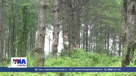 Lạng Sơn phòng chống cháy rừng mùa nắng nóng