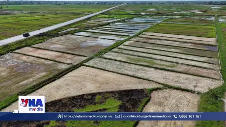 Nắng nóng kéo dài, nhiều diện tích lúa hè thu ở Hà Tĩnh bị khô hạn