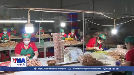 Đồng Nai hướng tới thành trung tâm giao dịch điều quốc tế