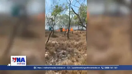 Quảng Trị: Huy động hàng trăm người khống chế cháy rừng tràm lan rộng