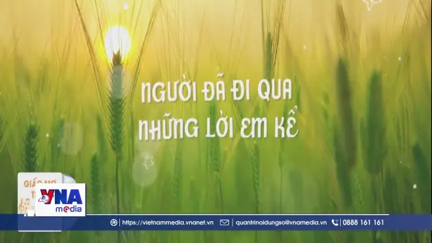 Nhạc sĩ Giáng Son thắng kiện bản quyền ca khúc “Giấc mơ trưa”