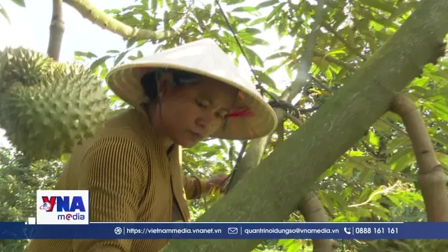Vốn chính sách giúp đồng bào ở Đồng Nai thoát nghèo