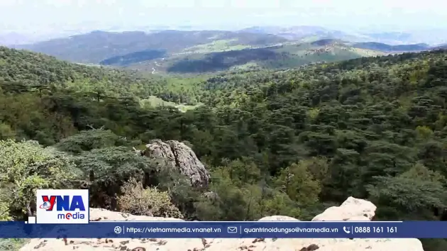 Théniet El Had - Khu dự trữ sinh quyển thế giới ở Algeria