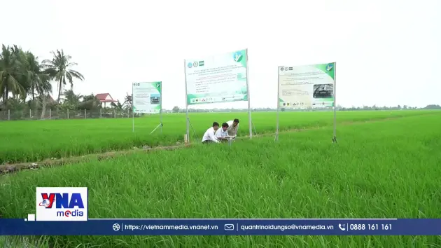 Đồng Tháp: Các hợp tác xã đẩy mạnh chuyển đổi số trong sản xuất, kinh doanh