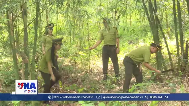 Nắng nóng cực đoan, Thanh Hóa tăng cường phòng chống cháy rừng
