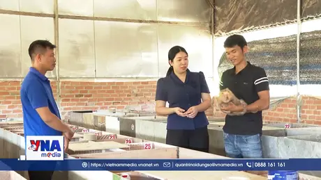 Khởi nghiệp nuôi dúi của thanh niên tại Đồng Nai mang lại thu nhập ổn định