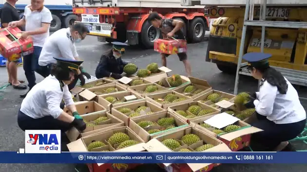 Nông sản Việt tăng tốc xuất khẩu sang Trung Quốc