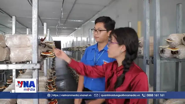 Doanh nghiệp dẫn dắt hệ sinh thái nông nghiệp công nghệ cao