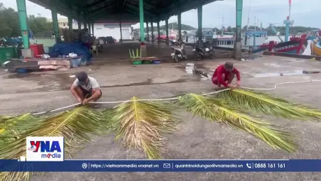 Nghề đắt bắt hải sản bằng “cội chà” của ngư dân vùng biển Lâm Đồng