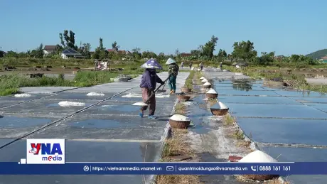 Những người giữ “vị mặn” trên cánh đồng muối Châu Hạ