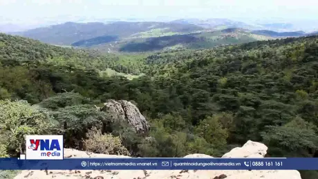 Théniet El Had - Khu dự trữ sinh quyển thế giới ở Algeria