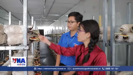 Doanh nghiệp dẫn dắt hệ sinh thái nông nghiệp công nghệ cao