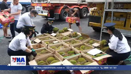 Nông sản Việt tăng tốc xuất khẩu sang Trung Quốc
