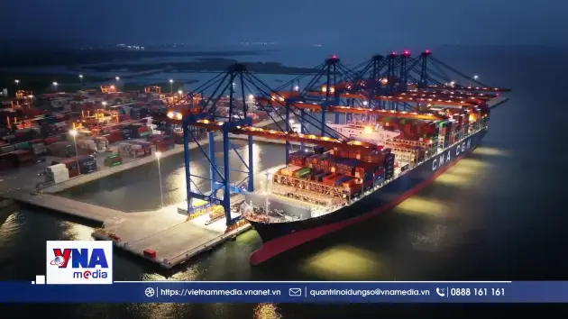 Cái Mép Hạ - Cánh cửa lớn mở ra nền kinh tế biển toàn cầu
