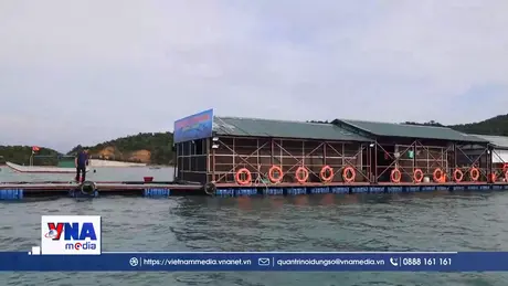 Khởi công dự án khu nuôi trồng thủy sản tập trung tại đặc khu Cô Tô