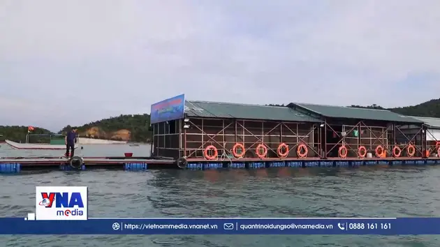 Khởi công dự án khu nuôi trồng thủy sản tập trung tại đặc khu Cô Tô