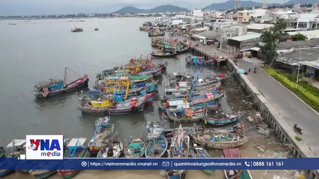 TP.HCM số hóa nhật ký tàu cá, quyết tâm gỡ thẻ vàng IUU