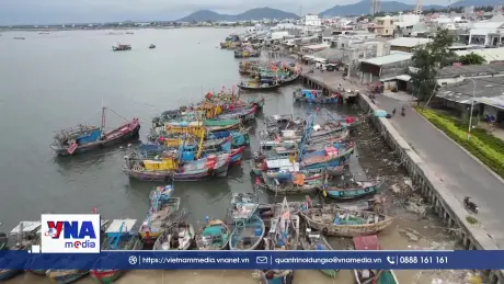 TP.HCM số hóa nhật ký tàu cá, quyết tâm gỡ thẻ vàng IUU