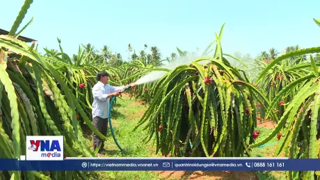 Gần 36 tỷ USD xuất khẩu nông nghiệp nửa đầu năm