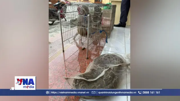 Bàn giao các cá thể động vật hoang dã cho cơ quan chức năng