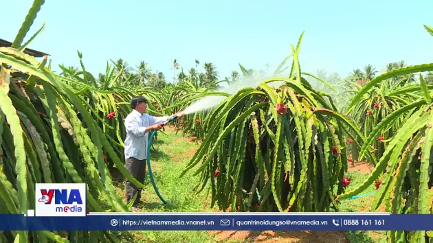 Gần 36 tỷ USD xuất khẩu nông nghiệp nửa đầu năm
