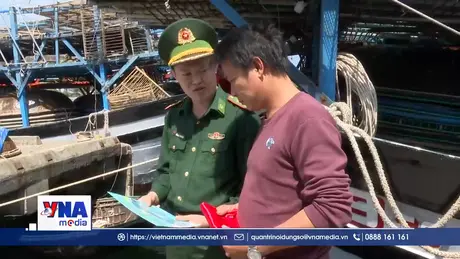 Đà Nẵng khai thác hải sản có trách nhiệm và bền vững ở ngư trường