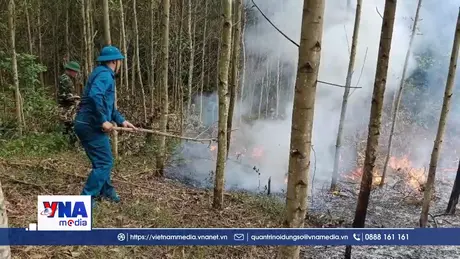 Quảng Trị: Khống chế kịp thời vụ cháy thực bì dưới tán rừng