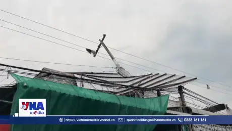 Đồng Tháp: Phòng tránh sự cố và tai nạn điện trong mùa mưa bão