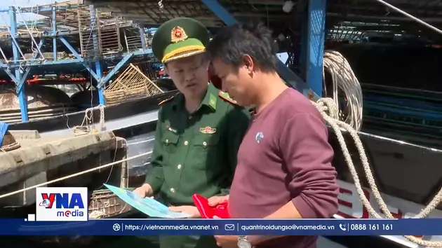 Đà Nẵng khai thác hải sản có trách nhiệm và bền vững ở ngư trường