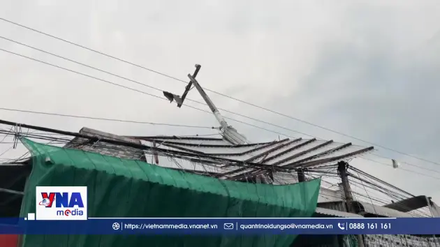 Đồng Tháp: Phòng tránh sự cố và tai nạn điện trong mùa mưa bão