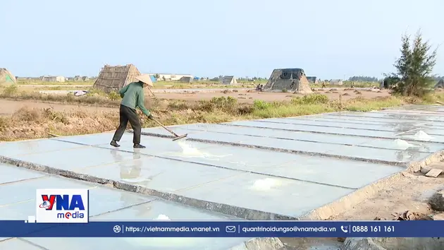 Diêm dân Ninh Bình gian nan giữ nghề muối truyền thống