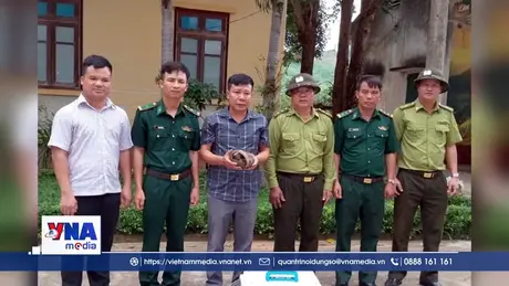 Quảng Trị: Tiếp nhận hai cá thể tê tê Java nguy cấp, quý hiếm