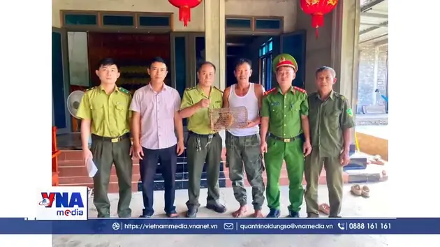 Người dân Quảng Trị tự nguyện giao nộp nhiều động vật hoang dã quý hiếm
