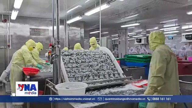 Cà Mau phát triển kinh tế tư nhân lấy phục vụ doanh nghiệp làm thước đo