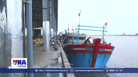 Phần lớn tàu thuyền tại Ninh Bình đã vào nơi tránh trú an toàn